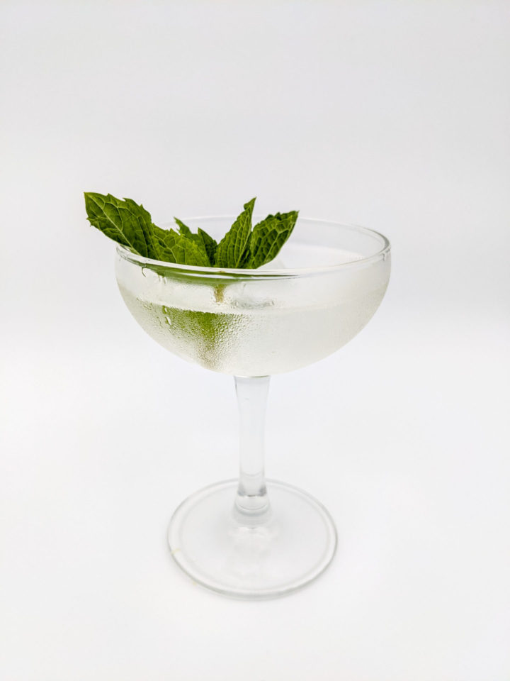A coupe glass with clear liquid with a sprig of mint leaves for garnish with a white background