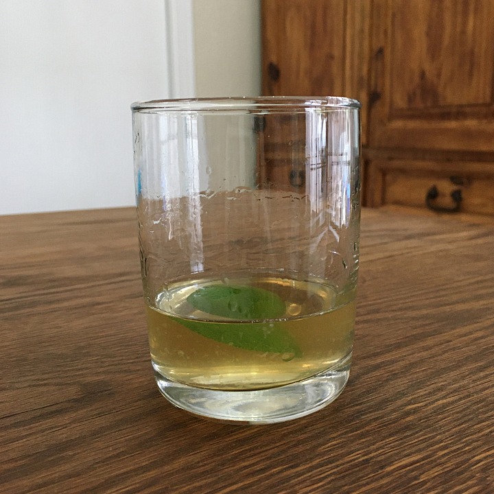 Small glass about 1/3 full with light golden liquid, with a lime disc floating inside.