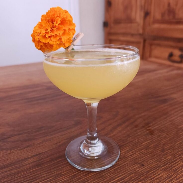 Coupe glass filled with golden yellow liquid and a marigold garnish on the rim, sitting on a wooden table